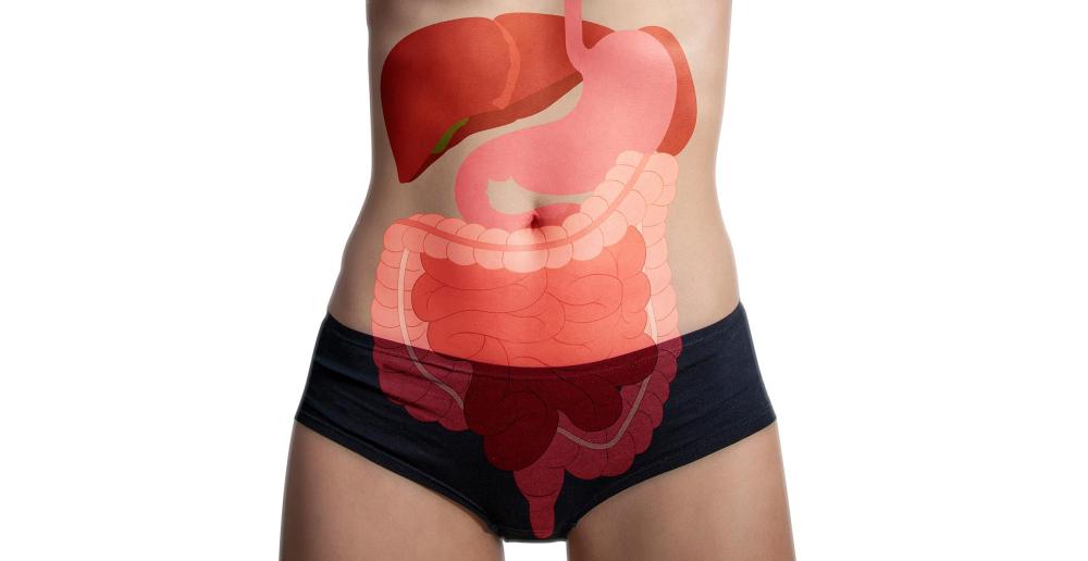 digestion-vitaform